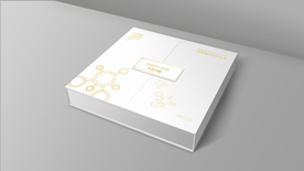 礼盒包装效果图样机