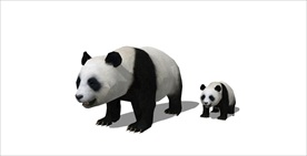 熊猫模型