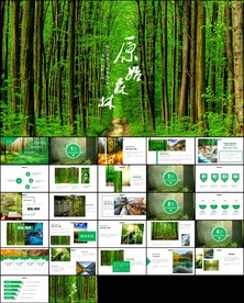 绿色唯美原始湿地森林PPT