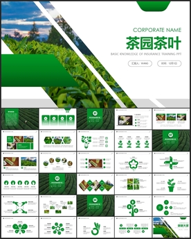 茶园茶叶种植PPT