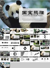 保护动物吃竹子国宝熊猫野生动物