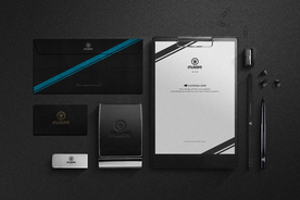 高端大气vi样机贴图