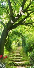清新林荫路玄关背景