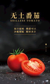 番茄海报