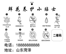 鲜花养花注意事项