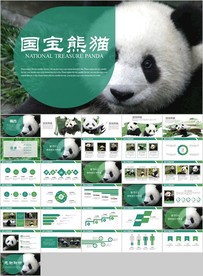 保护动物吃竹子国宝熊猫野生动物