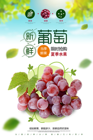 葡萄海报