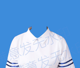 女性衬衫长袖证件照衣服模板