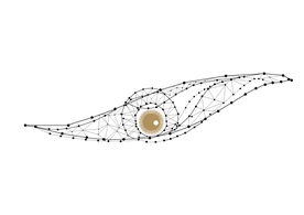 眼睛科技线条线描眼睛图案大数据