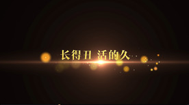 我愿意平凡的陪在你身旁pr模板