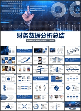 财务数据分析PPT