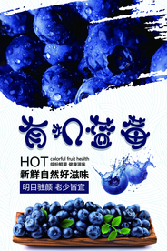 新鲜蓝莓