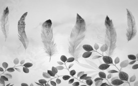 高档 羽毛装饰画 TIF分层