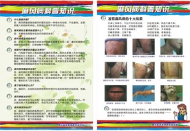 麻风病科普知识
