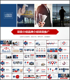 项目介绍项目推广PPT