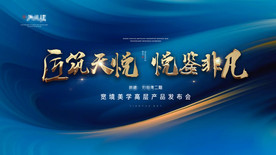 房地产高层产品发布会背景