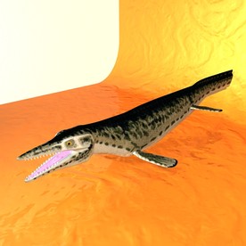 恐龙模型 动物模型 恐龙近景