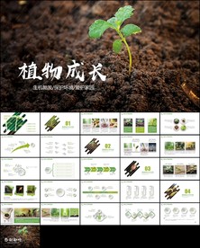 绿色嫩芽发芽植物成长PPT模板