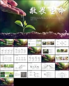 绿色嫩芽发芽植物成长PPT模板