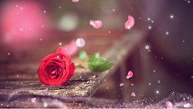 等待歌曲舞台背景