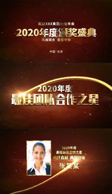 金色企业年会颁奖盛典AE模板