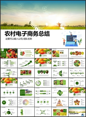 农村电子商务PPT