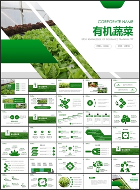 绿色有机蔬菜PPT