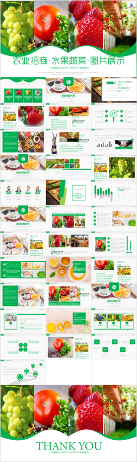 绿色生态农业招商农产品PPT