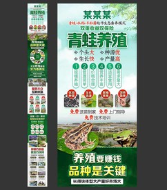 青蛙养殖