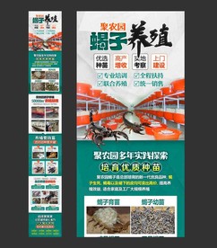 蝎子养殖