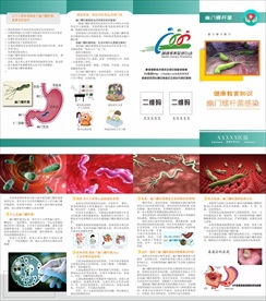 幽门螺杆菌折页