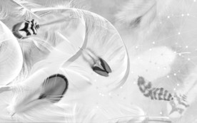 羽毛现代装饰画 TIF分层