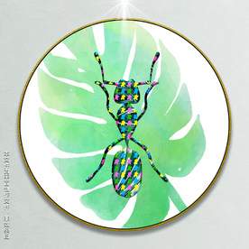 昆虫装饰画