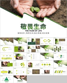 植物生长敬畏生命发芽成长ppt