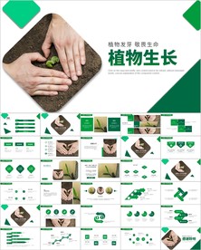 唯美植物生长敬畏生命发芽ppt