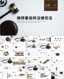 服务律师事务所法律法学ppt