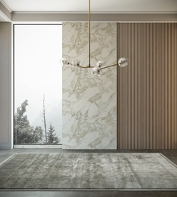 场景          室内场