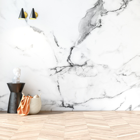 场景          室内场