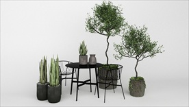 一组户外花园装饰植物