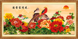 牡丹花 花开富贵