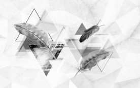 羽毛 装饰高端画 TIF分层