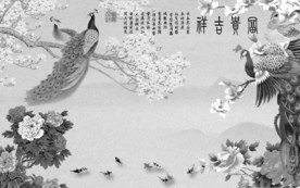 孔雀新上线山水画 TIF分层