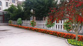 别墅庭院绿化景观设计效果图