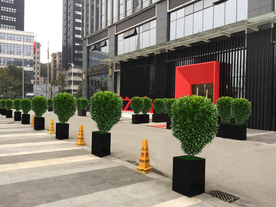 花卉租摆景观设计效果图