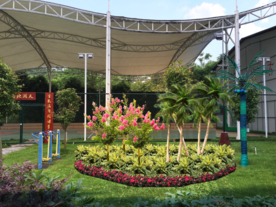 景观绿化改造设计