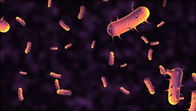 超高清微观细菌病毒视频