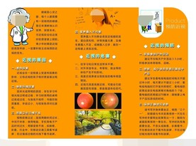 预防近视 保护视力 全国爱眼日