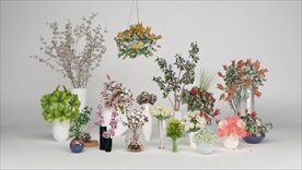 现代植物盆栽组合