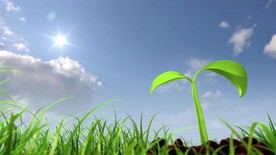 六一 草原 共享阳光