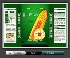 玉米种子(展开图)